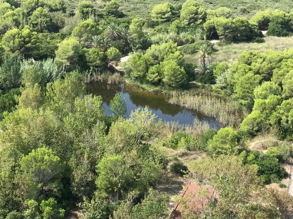 Gran Apartamento, Un Lujo En Playa El Saler - Valencia Exteriör bild
